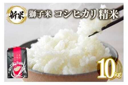 【3月発送】獅子米 コシヒカリ 精米 10kg 岡田ファーム コンテスト受賞米 お米 白米 米 おこめ ブランド米 こしひかり 10キロ 国産 単一原料米 コメ こめ ご飯 銘柄米 茨城県産 茨城 産直 産地直送 農家直送 ごはん 家庭用 贈答用 お取り寄せ ギフト 茨城県 石岡市 (B02-038)