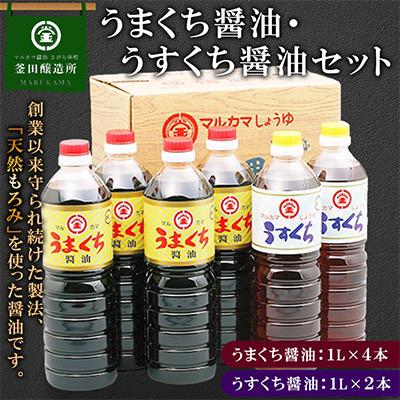 ふるさと納税 人吉市 熊本県人吉市　うまくち醤油1L×4本　うすくち醤油1L×2本