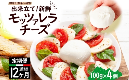 モッツァレラチーズ 出来立て 神奈川県産 モッツァレラチーズ【100g×4個】【定期便12ヶ月】
