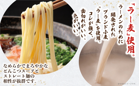 U08-10 一風堂 とんこつラーメン 白丸 8食 ラーメン ラーメン ラーメン ラーメン ラーメン 【YUKU】 【fukuchi00】