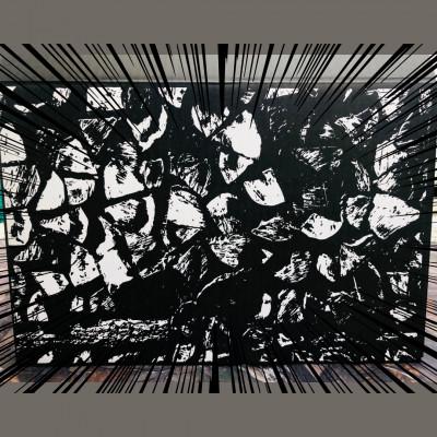 ふるさと納税 橋本市 薪【デザイナーズダンボール入り天然乾燥薪】 |  | 02