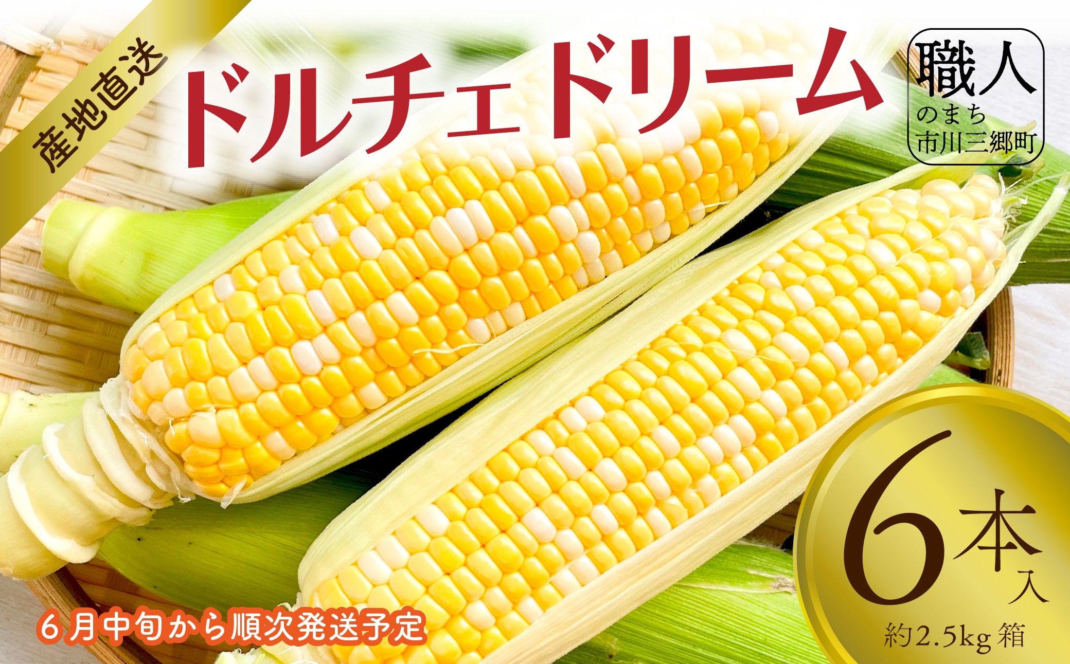 【2025年6月中旬から発送】とうもろこし ドルチェドリーム 6本入り 横田農園 （山梨県市川三郷町産）[5839-2233]