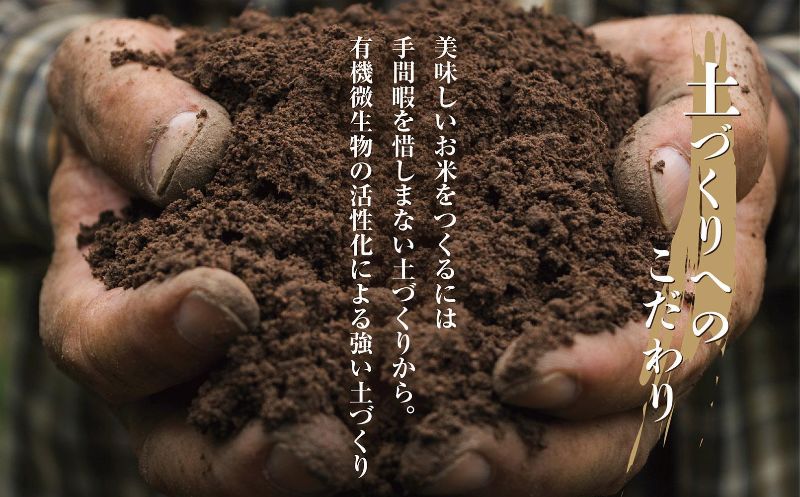 【令和8年産　新米予約】「無洗米」 新潟県 南魚沼産 コシヒカリ お米 5kg×6袋 計 30kg 精米済み（お米の美味しい炊き方ガイド付き） お米 こめ 白米 こしひかり 食品 人気 おすすめ  魚
