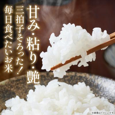 ふるさと納税 八代市 《令和7年産》 ヒノヒカリ 5kg×2袋 合計10kg  熊本県 八代市産_274-6647 |  | 02