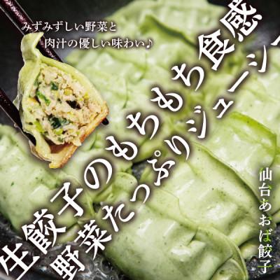 ふるさと納税 宮城県 【新仙台名物】雪菜を練り込んだヘルシーな『仙台あおば餃子』40個セット(20個×2袋・バラ入り) |  | 02