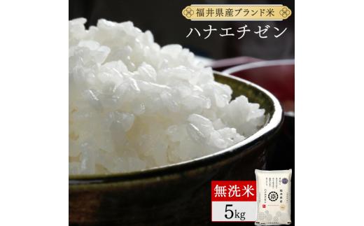 【定期便3回】福井県産 ハナエチゼン 無洗米 5kg（5kg×1）＜令和7年産 新米 数量限定 ＞【米 コメ お米 精米 白米 無洗米 玄米 ご飯 飯 華越前 ブランド米 国産】[095-t3-a017]