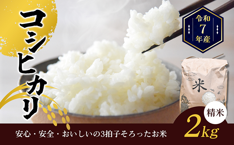 令和7年産香川県産コシヒカリ2kg（精米） お米 