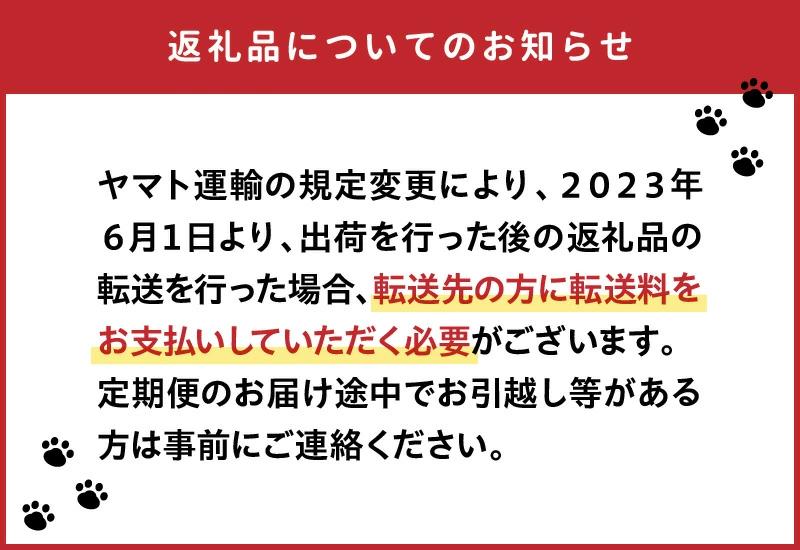 【冷蔵】【日向灘どれ】延岡産活〆ブリのお刺身400g～550g N019-YA2259_イメージ5