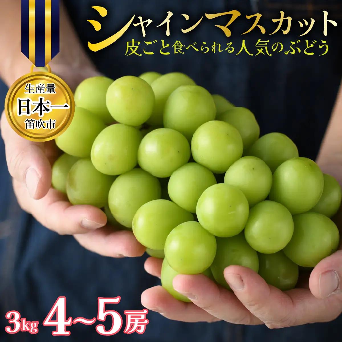 【2027年発送★先行予約】山梨県笛吹市産 シャインマスカット 約3kg 4～5房 皮ごと食べられる人気のぶどう 262-011-27y