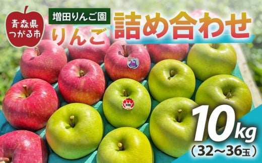 りんご 詰め合わせ 約10kg(32～36玉) 青森産 つがる市【2024年11月下旬より順次発送】｜青森県産 津軽 つがる リンゴ 果物 サンふじ 王林 [0610]