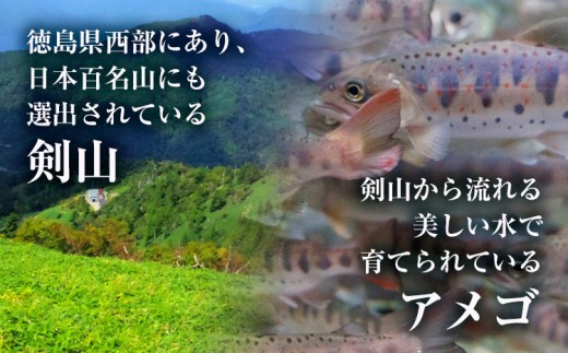 アメゴ 約1kg  内臓 なし 木屋平淡水養魚場《4月上旬-10月下旬頃出荷(土日祝除く)》 【配送不可地域あり】※北海道・沖縄・離島　徳島県 美馬市 川魚 アメゴ あまご 塩焼き 唐揚げ 送料無料