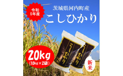 令和6年産茨城県河内町産コシヒカリ20kg(10㎏×2袋)【1254350】