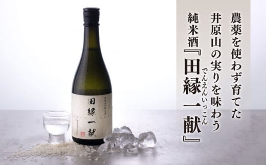無農薬で育てたお米で作った 日本酒 『田縁一献（でんえんいっこん）』 純米酒 720ml×2本 糸島市 / 田縁プロジェクト [AUM001] 酒 日本酒 純米酒 720ml 2本 セット ギフト 贈