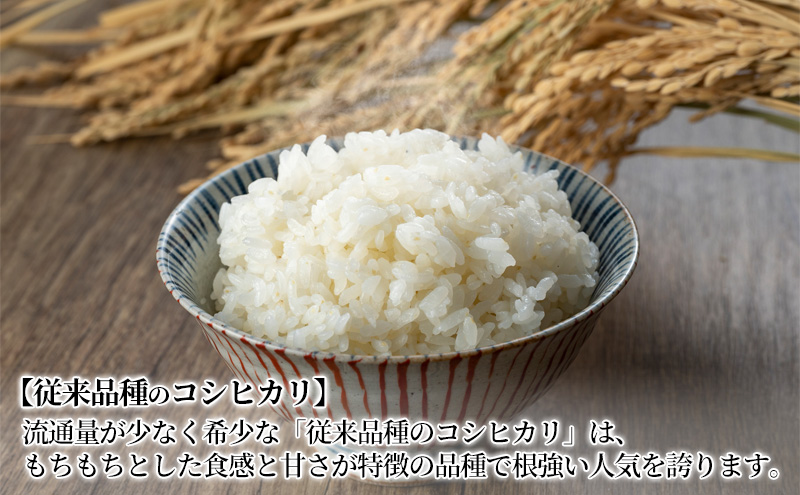 新潟産 コシヒカリ精米5kg「従来品種」・ミルキークイーン