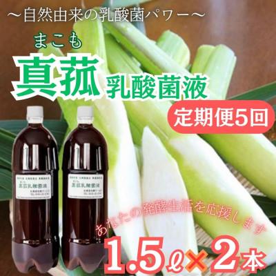 ふるさと納税 西桂町 【2ヵ月毎定期便】発酵生活サポート_富士山麓の自然の恵み_真菰(まこも)乳酸菌液 1.5L2本全5回