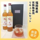 【ふるさと納税】【数量限定】梅のお酒 500ml×2本セット　お酒・洋酒・リキュール