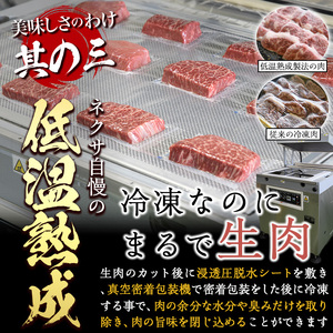 ＜定期便・全3回 (4か月ごとの発送)＞ 特選 牛タン ・ 牛ハラミ セット (総量2.4kg) 定期便 小分け 牛肉 肉 タン 牛たん ハラミ 牛はらみ 詰め合わせ 味付け 焼肉 塩 BBQ 冷凍 