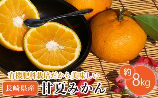 【先行受付】甘夏みかん 有機肥料栽培 約8kg【おだ農園】[OAG001] / みかん ミカン 柑橘 果物  フルーツ あまなつ 甘夏ミカン 甘夏 あまなつ みかん 長崎県産 蜜柑 数量限定 みかん