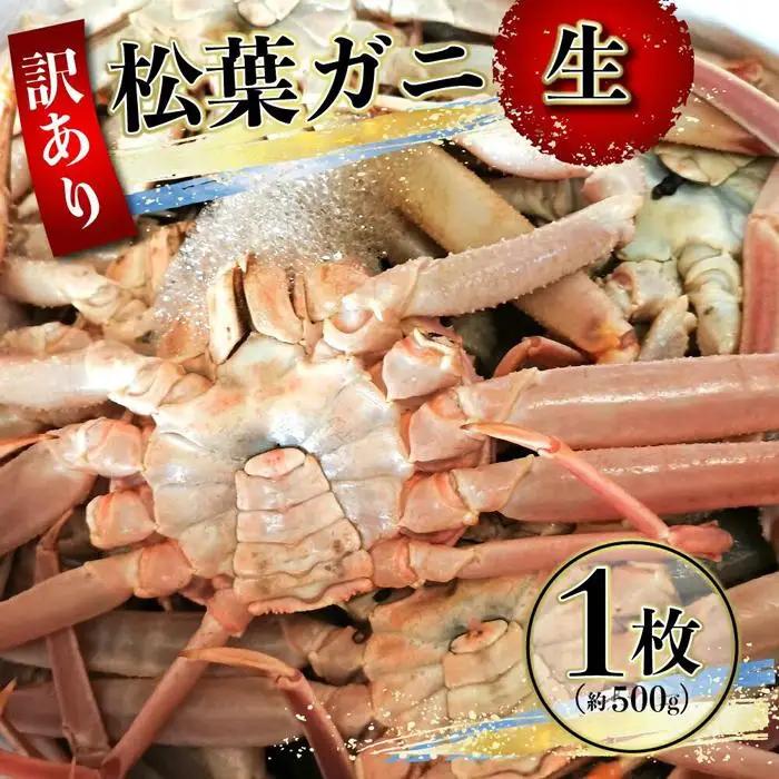 先行予約 訳あり 松葉ガニ 生 1枚 約500g 年内配送 カニ