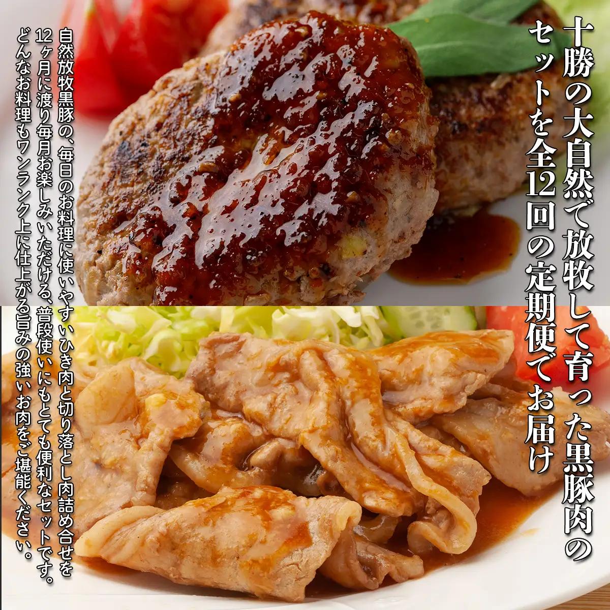 十勝鹿追町産自然放牧黒豚　ひき肉＆切り落としセット（1,950ｇ）定期便12カ月　【人気  北海道  送料無料 】SKN017