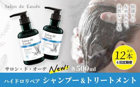 6回 定期便 サロン・ド・オーデ ハイドロリペア シャンプー ＆ トリートメント 各 500ml 2本 セット 合計 12本 ダメージ補修 ボトル 液体 アロインス製薬 美容 美容品 化粧品 日用品 高知 高知県 四万十 四万十市 しまんと 26-95
