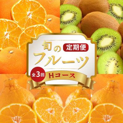 ふるさと納税 丸亀市 【発送月固定定期便】フルーツ定期便 Hコース (香緑キウイ デコポン 小原紅早生みかん)全3回