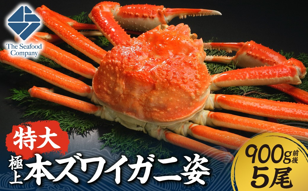 
                  極上！特大本ズワイ蟹の姿　本ズワイ蟹　900g　5尾 | カニ ずわいガニ 海鮮 北海道 札幌市
                