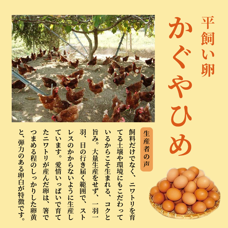 かぐやひめ「初たまご」100個 【福岡上毛町産】　C00901