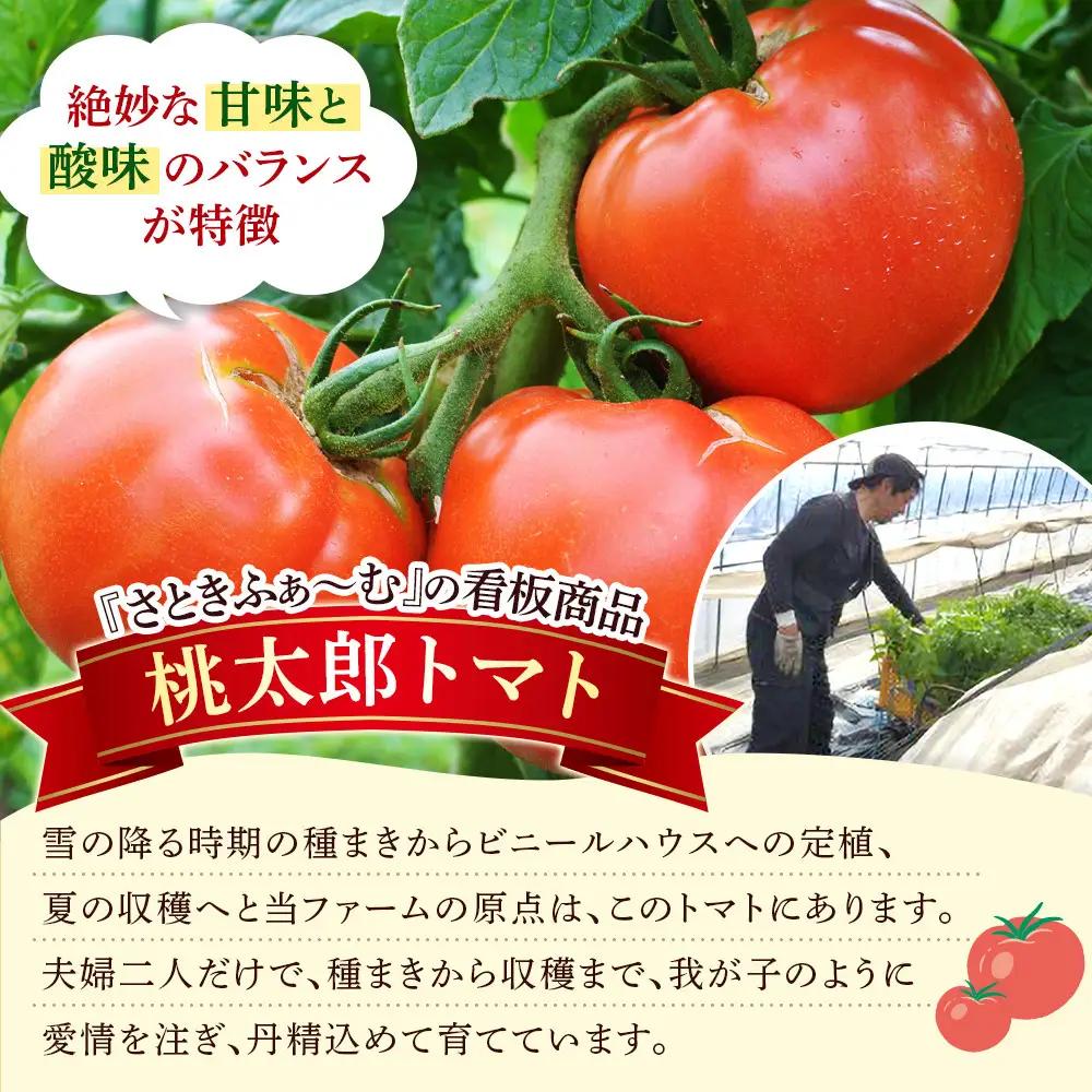 旭川市西神楽産 桃太郎トマト2kg トマト _05907