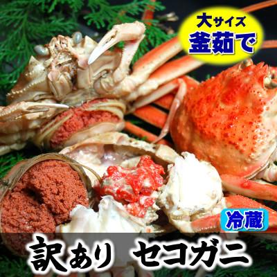 ふるさと納税 新温泉町 松葉ガニの本場　訳あり・釜茹でセコガニ(冷蔵)大サイズ　5枚　兵庫県新温泉町　