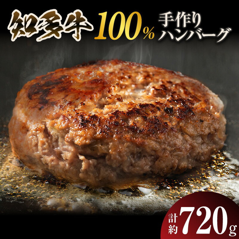 【ふるさと納税】知多牛 手作りハンバーグ【120g×6個入り】 国産牛 牛肉 ハンバーグ 惣菜 肉汁たっぷり ブランド牛 グルメ 冷凍 簡単調理 煮込みハンバーグ デミグラスハンバーグ お取り寄せ 子供 人気 送料無料
