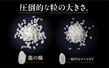 【2025年産米】（2025年11月発送）5kg×1 飛騨産・龍の瞳（いのちの壱）株式会社龍の瞳直送 米 令和7年産 精米【14-14【11】】りゅうのひとみ いのちのいち 下呂市 龍の瞳