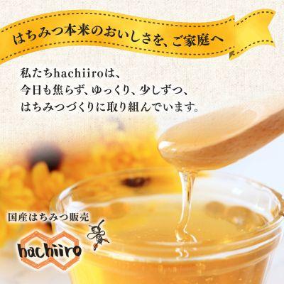 ふるさと納税 和泉市 【1種】 いずみつ(百花蜜) 440g |  | 03
