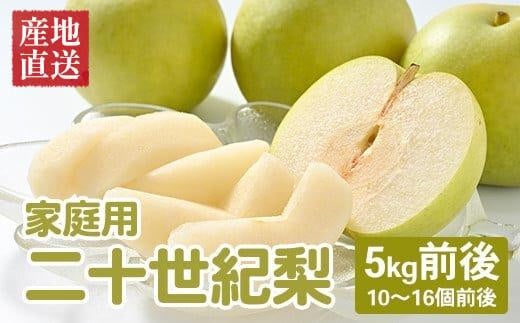 【先行予約】【家庭用】二十世紀梨 5kg前後 (10個～16個前後) 鳥取県産 ※着日指定不可 ※2026年8月下旬～9月中旬頃に順次発送予定【梨 なし 訳あり 5kg 新鮮 2026年 令和8年 二十世紀 鳥取県 北栄町 おすすめ 人気 大容量 国産 送料無料】