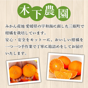 紅まどんなと同品種！＜木下さんちのまどんな 約2.5kg 家庭用＞ 柑橘類 みかん ミカン 果物 くだもの フルーツ 不揃い 自宅用 愛媛果試第28号 特産品 産地直送 マドンナ 木下農園 西宇和 愛