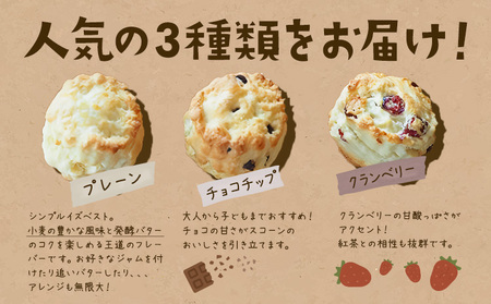 スコーン 詰め合わせ 3種 9個 プレーン チョコチップ クランベリー 《30日以内に出荷予定(土日祝除く)》星子スコーン 千葉県 流山市 おやつ