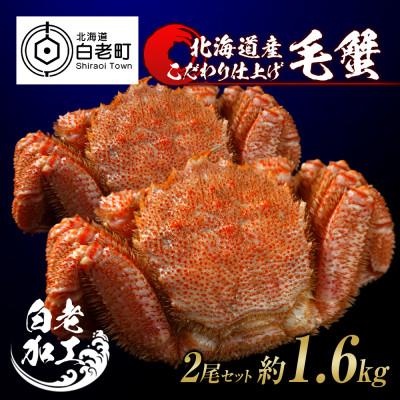 ふるさと納税 白老町 毛蟹 ボイル済み 冷凍 2尾セット 約1.6kg BM033