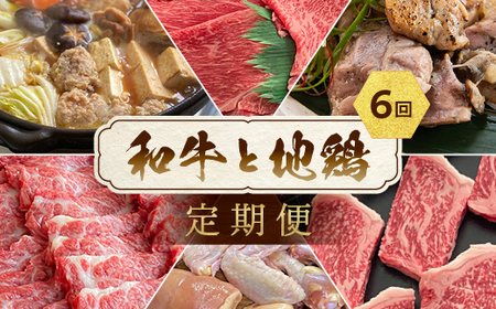 【6回定期便】鶏肉 和牛と地鶏 訳あり鶏肉