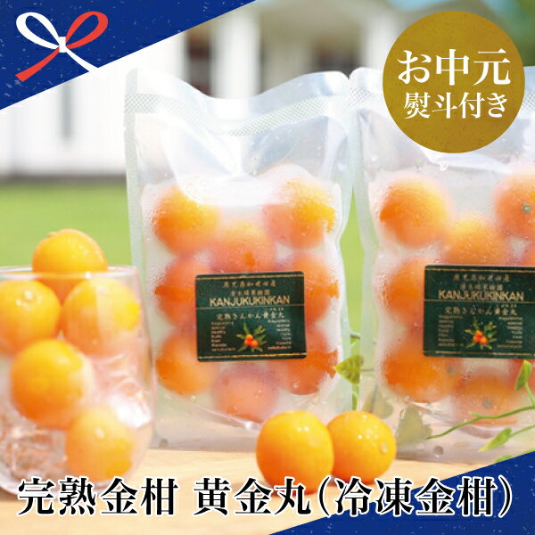 【ふるさと納税】【お中元ギフト】鹿児島県 南さつま市産 完熟金柑 黄金丸 150g×6 急速冷凍 冷凍フルーツ 冷凍保存 フルーツ きんかん 柑橘 完熟 フルーツ ローズン 凍眠 果物 果実 シャーベット 南さつま市 贈り物 夏ギフト 贈答用 送料無料 のし対応 お中元熨斗付き