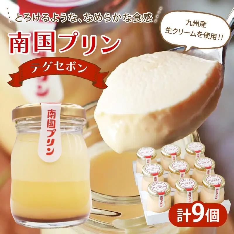 南国プリン「テゲセボン(計9個)」 スイーツ 洋菓子 国産_T038-0057