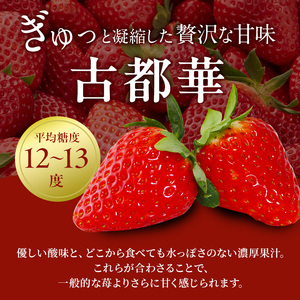 先行予約 いちご 奈良県産 古都華 約540g 270g×2パック 今西さん家の奈良いちご 冷蔵配送 ことか フルーツ 果物 旬 糖度 産地直送 農家直送 お取り寄せ おやつ デザート 苺 冷蔵  奈