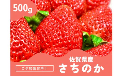 ＜先行予約受付中・令和7年2月以降順次発送＞濃厚苺 さちのか 500g（A13723-04）