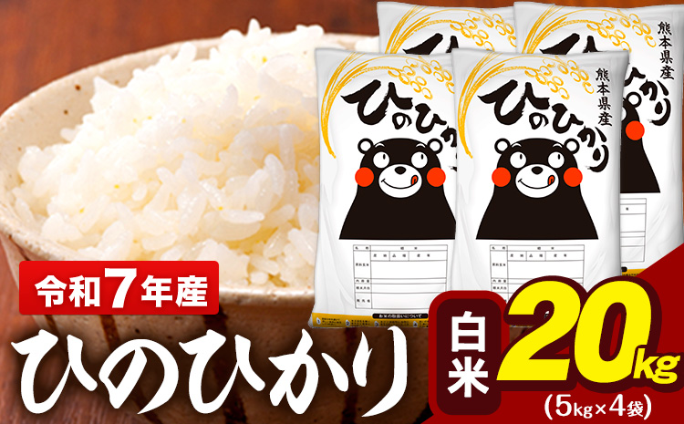 令和7年産 白米 米 ひのひかり 20kg (5kg袋×4)《7-14日以内に出荷予定(土日祝除く)》熊本県 大津町 国産 熊本県産 白米 精米 送料無料 ヒノヒカリ こめ お米---oz_hn7_w