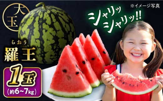 スイカ 【先行予約：2026年7月上旬より配送】 羅王 1玉（約6kg～7kg） ＜ファームまるだ＞ [CDT007] 甘い 大玉 旬 ギフト プレゼント フルーツ 夏 スイカ すいか 西瓜 先行予約 2026年 長崎県 西海市