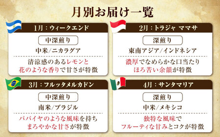 【全12回】能美島ビターブレンドセット コーヒー豆 全13種 コーヒー[XBE082]
