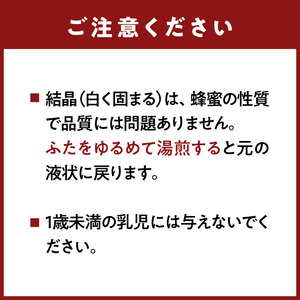 アルゼンチン産純粋はちみつ500g はちみつ ハチミツ ハニー 蜂蜜 朝食 福岡県 八女市 207-002