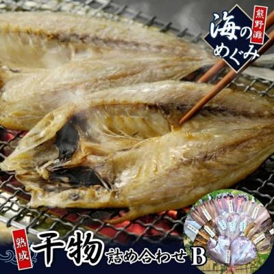 ふるさと納税 熊野市 海の恵み　干物詰め合わせB