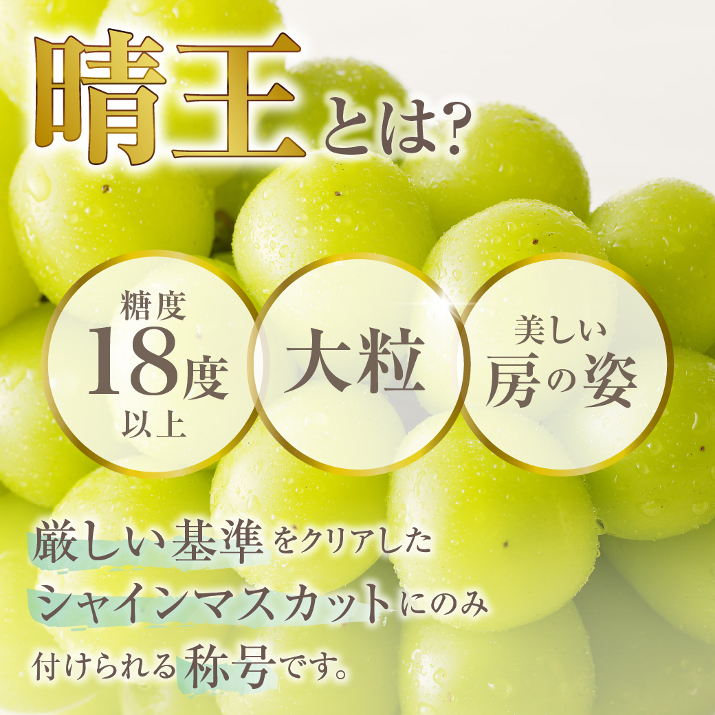 【2025年発送分 先行受付スタート】岡山県産シャインマスカット「晴王」　秀品　大房　（約2kg・2～5房程度）（令和７年8月中旬以降発送）【 シャインマスカット 晴王 フルーツ 果物 葡萄 ぶどう 