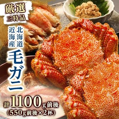 ふるさと納税 八雲町 厳選三特品毛蟹 550g前後×2杯 海鮮 北海道 八雲町