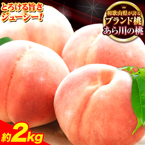【先行予約】桃 もも あら川の桃 和歌山県産 紀州 の名産 旬の桃厳選 約2kg 5-8玉入り 《2026年6月中旬-8月中旬頃出荷》 果物 フルーツ お取り寄せ 和歌山 予約 【一部配送不可地域あり】